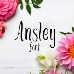 Ansley Font Poster 1