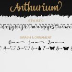 Anthurium Font Poster 5