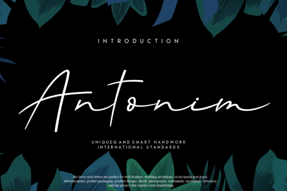 Antonim Font Poster 1