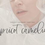 Apricot Camelia Font Poster 1