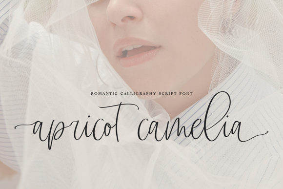 Apricot Camelia Font Poster 1