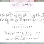 Apricot Camelia Font Poster 8