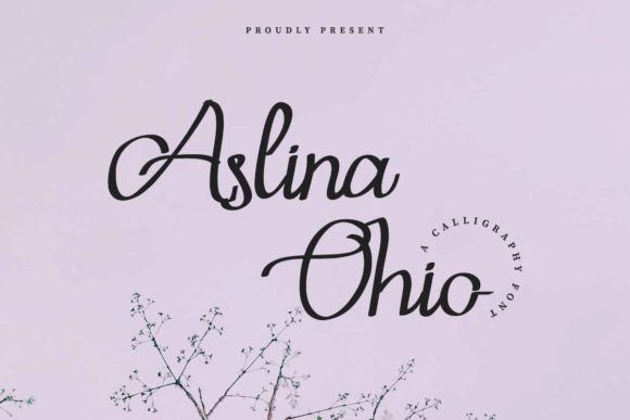 Aslina Ohio Font Poster 1