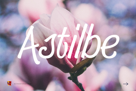 Astilbe Font Poster 1