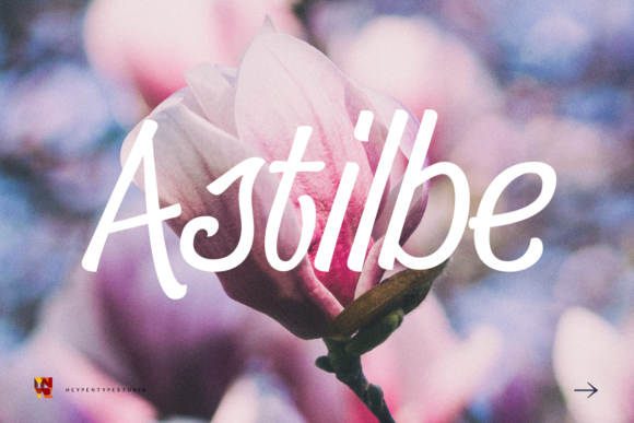 Astilbe Font Astilbe Font Poster 1