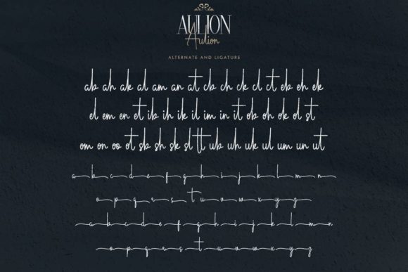 Aulion Font Poster 11