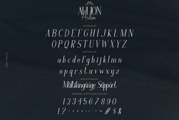 Aulion Font Poster 7