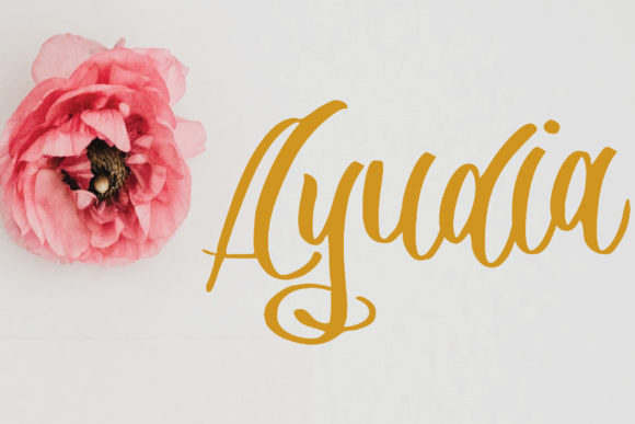 Ayudia Font Poster 1