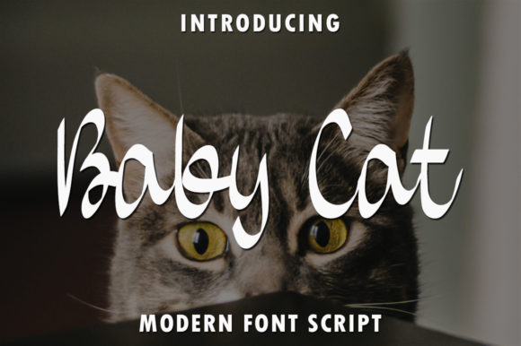 Baby Cat Font Poster 1