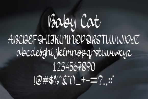 Baby Cat Font Poster 5