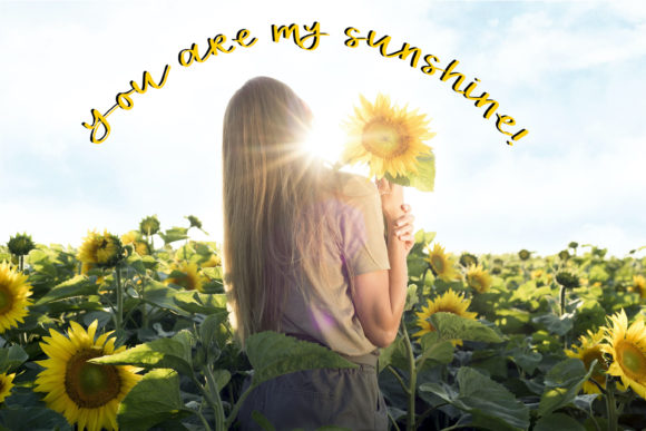 Baby Sunflower Font Poster 2