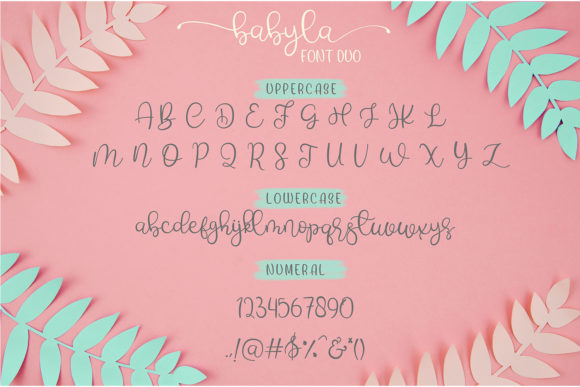 Babyla Font Poster 5