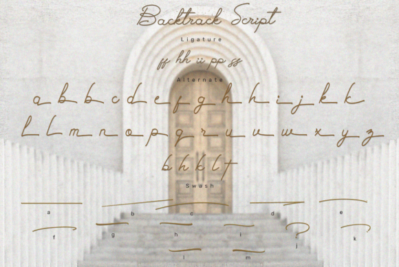 Backtrack Script Font Poster 13