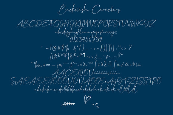 Backwash Font Poster 3