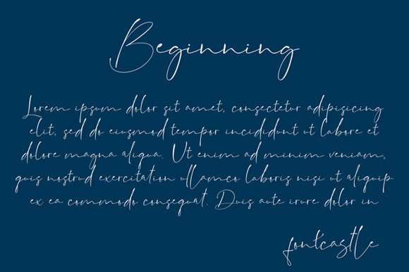 Backwash Font Poster 9