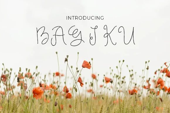 Bagiku Font Poster 1