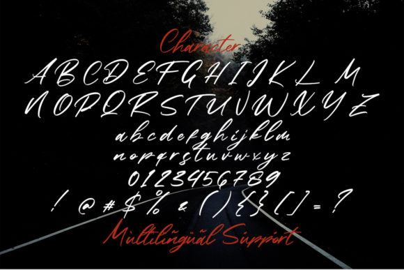 Bahisey Font Poster 14