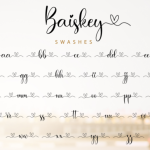 Baiskey Font Poster 12
