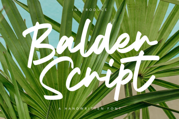 Balder Script Font Poster 1