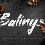 Balinysh Font Poster 1