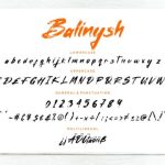 Balinysh Font Poster 7