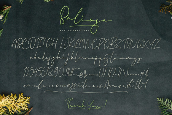 Baliosa Font Poster 5