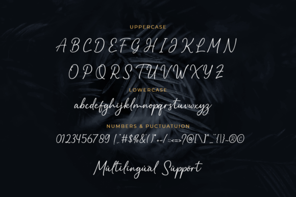 Balista Font Poster 8