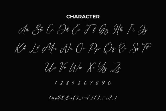 Ballegand Font Poster 10