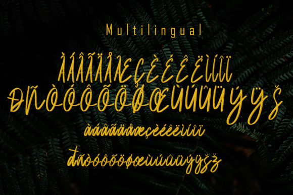 Balsam Font Poster 7