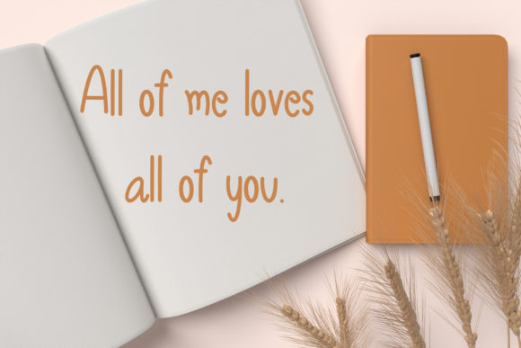 Bany Love Font Poster 4