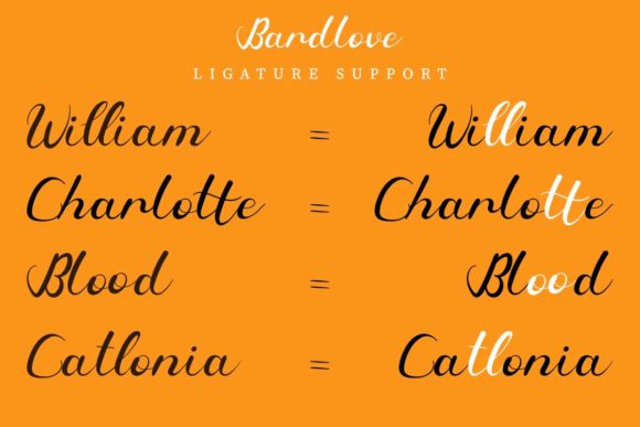 Bardlove Font Poster 11