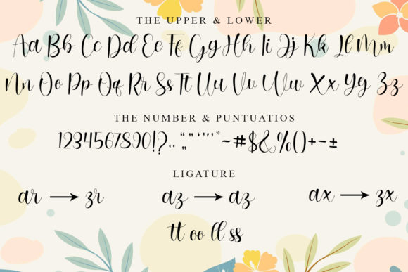 Barisha Script Font Poster 9
