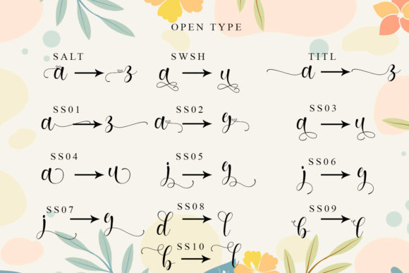 Barisha Script Font Poster 10