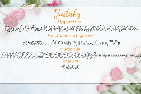 Basteshy Font Poster 7