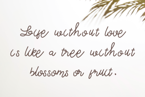 Be Love Font Poster 3