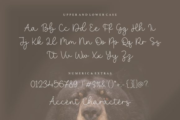 Bearline Font Poster 6