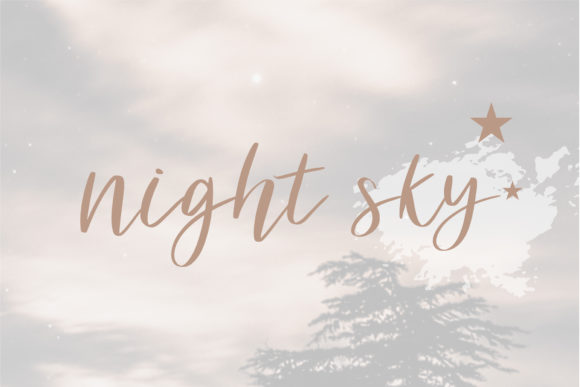Beauty Font Poster 4