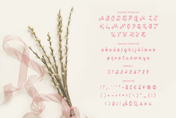 Beauty Life Font Poster 2