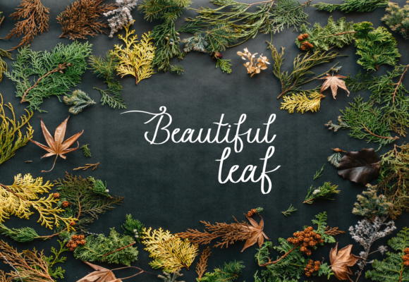 Beauty Lope Font Poster 6