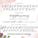 Beauty Lova Font Poster 3