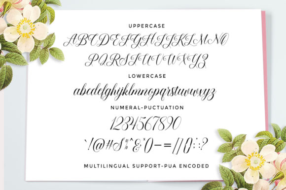 Beauty Queen Font Poster 6
