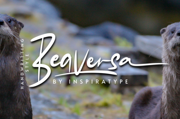 Beaversa Font Poster 1