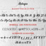 Belagia Font Poster 6