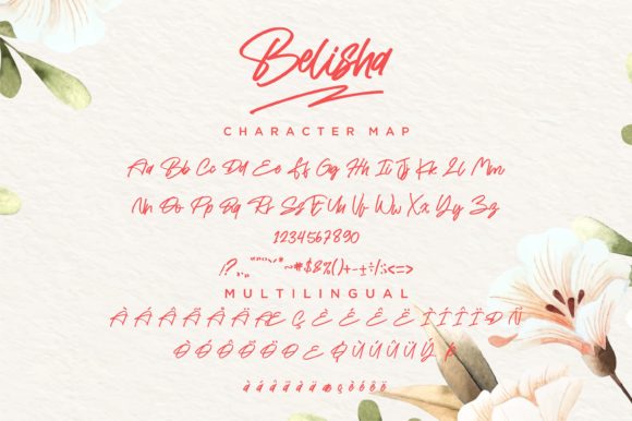 Belisha Font Poster 13
