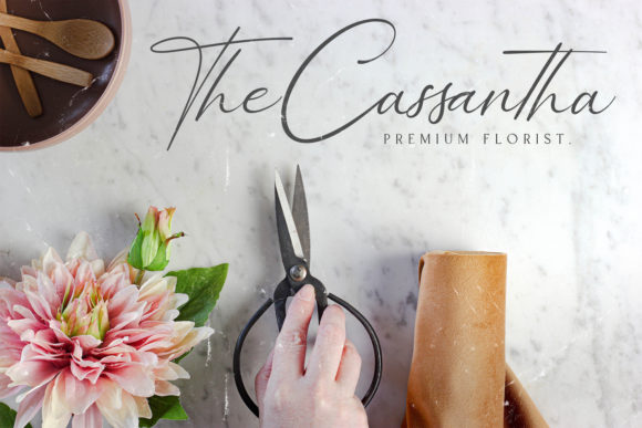 Bellamy Signature Font Poster 13