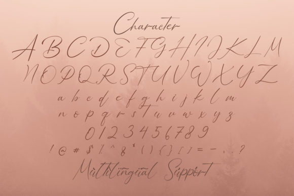 Bellamy Signature Font Poster 14