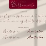 Bellavenita Font Poster 14