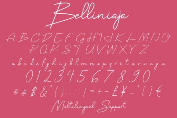 Belliniaja Font Poster 6