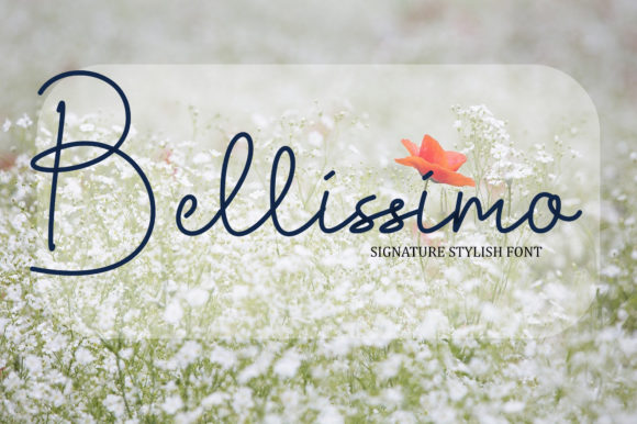 Bellissimo Font