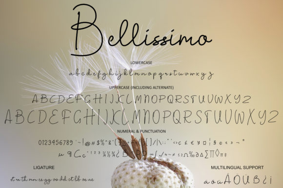 Bellissimo Font Poster 6